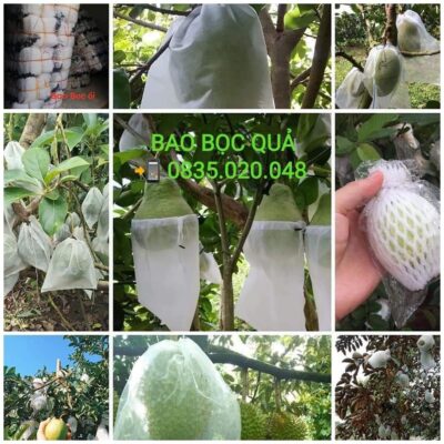 BAO BỌC TRÁI CÂY