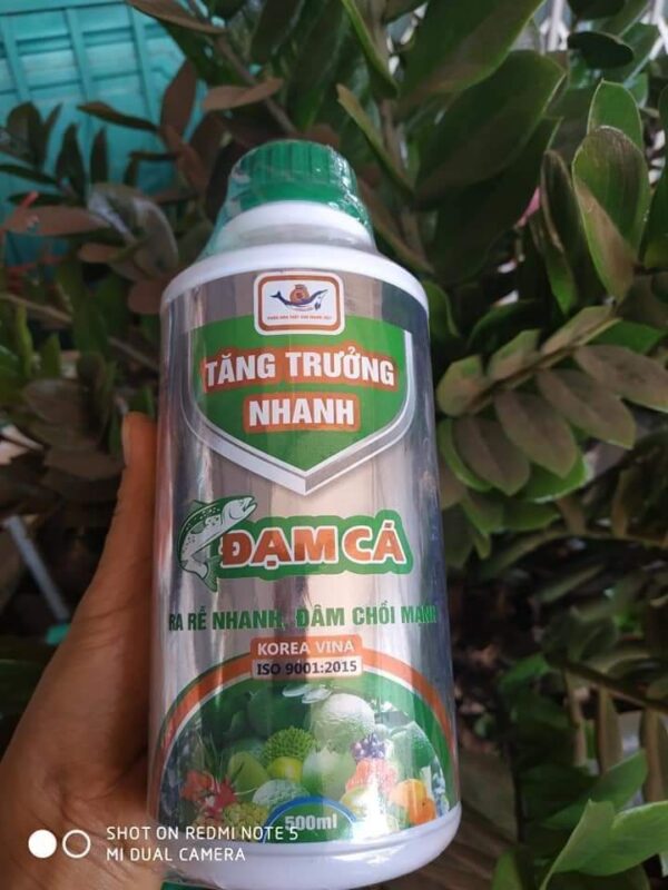 PHÂN BÓN